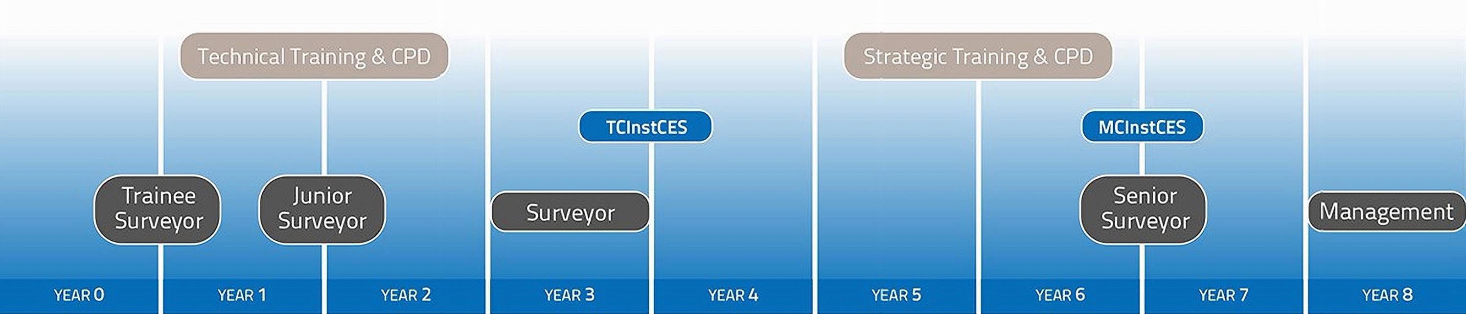 Approximate Career Development Timeline