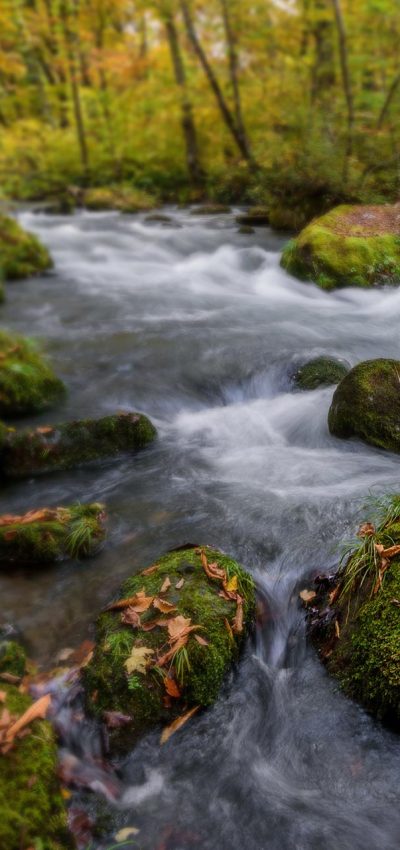 River Condition Assessment